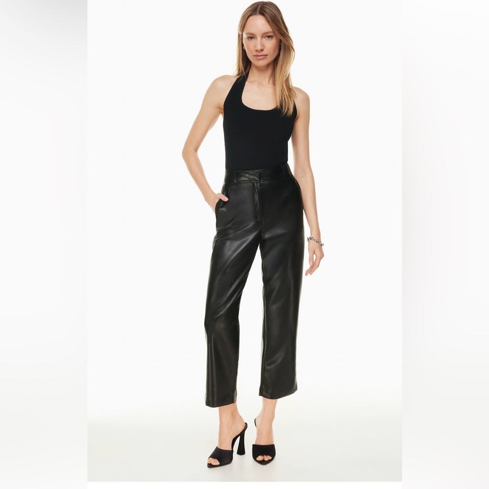 Babaton by Aritzia Command Pant